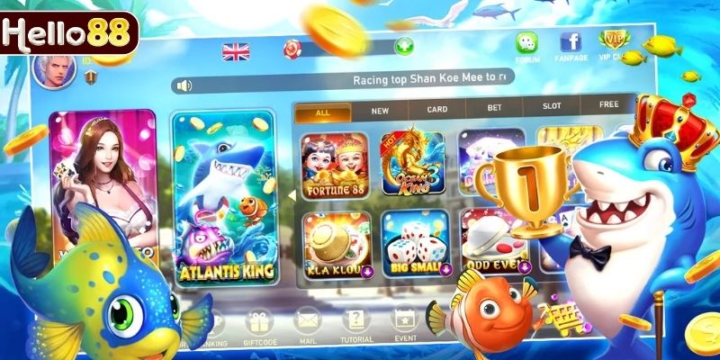 Các bước tham gia săn cá chi tiết cho tân thủ