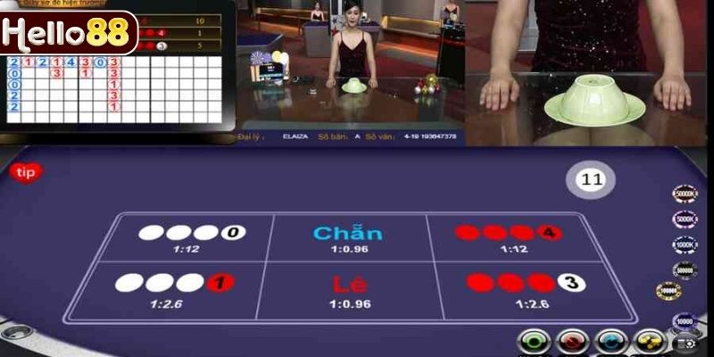 Phân tích xác suất các cửa khi chơi xóc đĩa